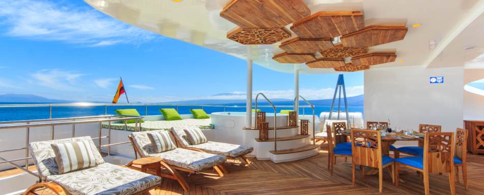 Sky deck and lounge with Jacuzzi 