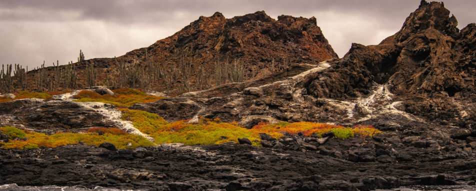 Volcanic Landscapes