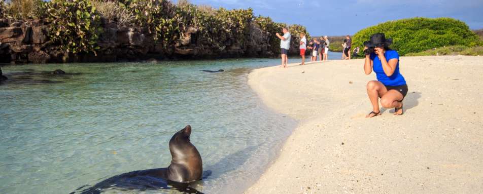 Galapagos Wildlife 