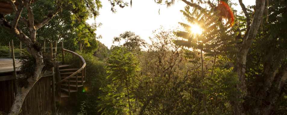 Family suite - Galapagos Safari Camp