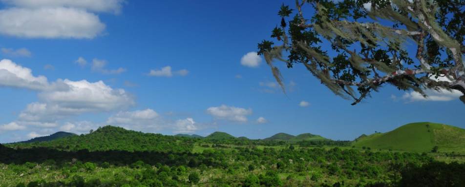 View from the camp - Galapagos Safari Camp