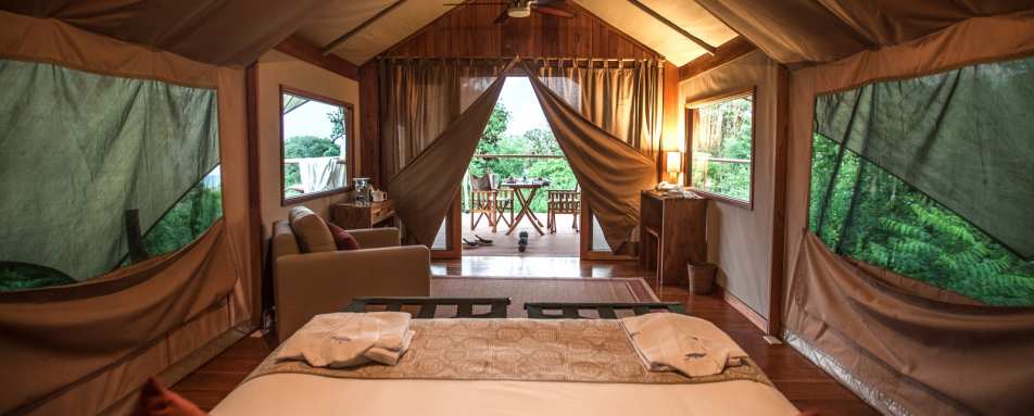 Safari tent interior - Galapagos Safari Camp