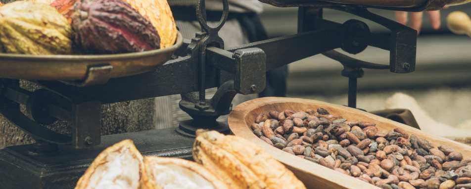 Cacao and chocolate - Hotel del Parque