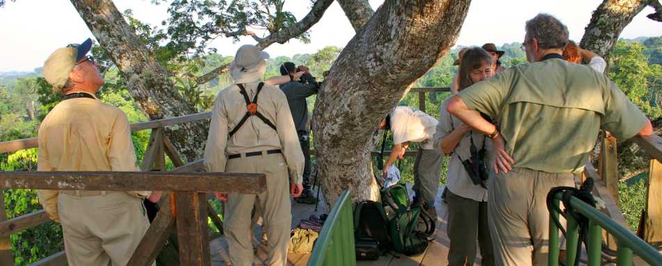 Wildlife viewing platform - Napo Wildlife Centre