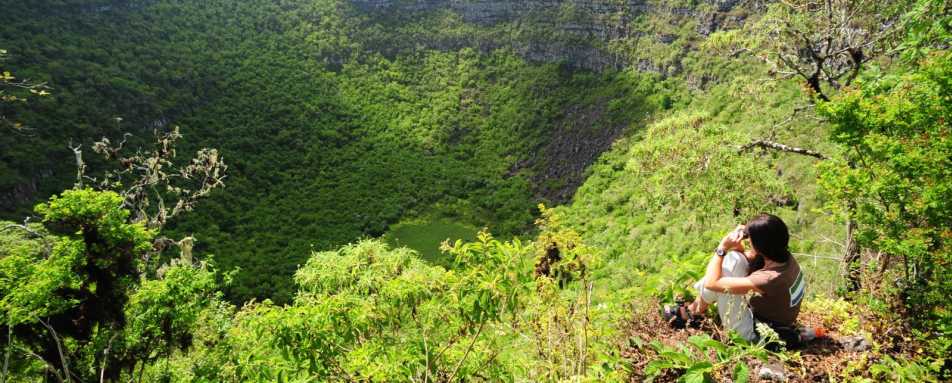 Out in the wild - Pikaia Lodge