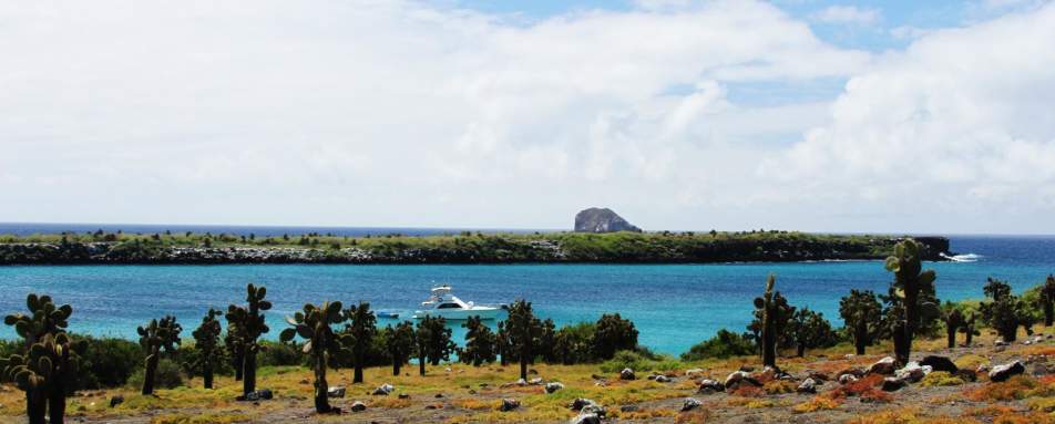 Out in the wild - Pikaia Lodge