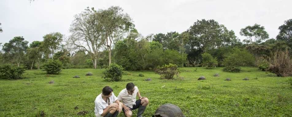 Giant Tortoise  - The Finch Bay Eco Hotel