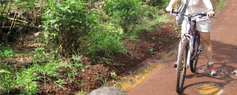 Biking on Santa Cruz