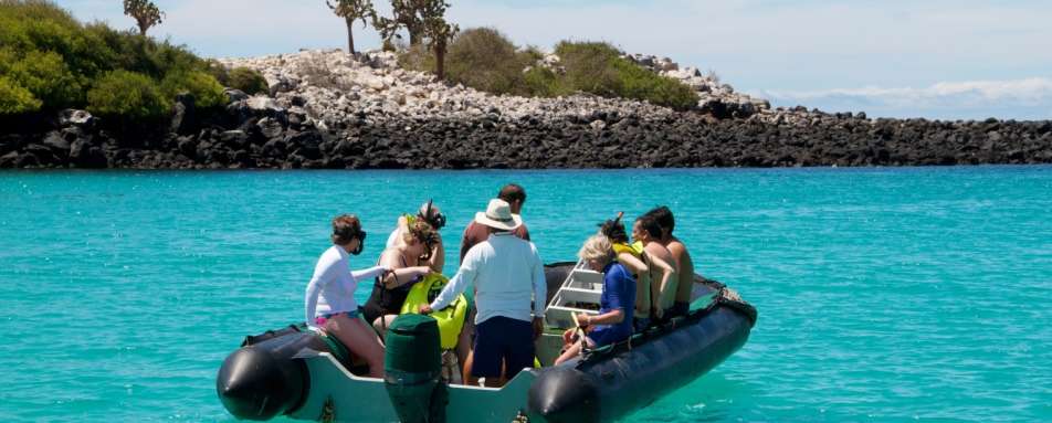 Excursions on the Sea Lion