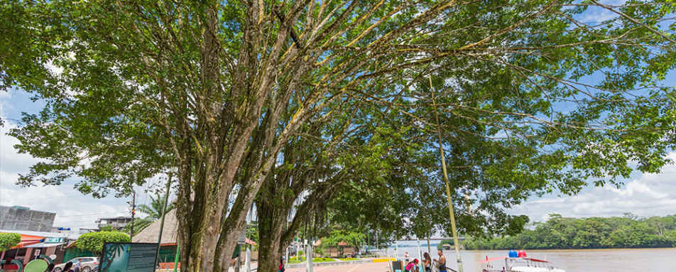 Anakonda Amazon 3night 4day Cruise