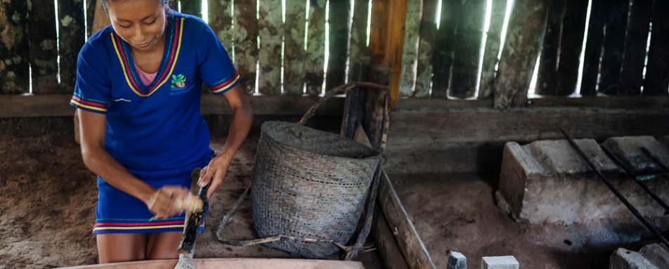 Day 3 Anakonda Amazon 3night 4day Cruise