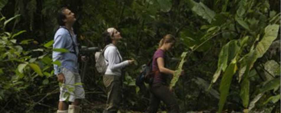 Hiking trails at Mashpi