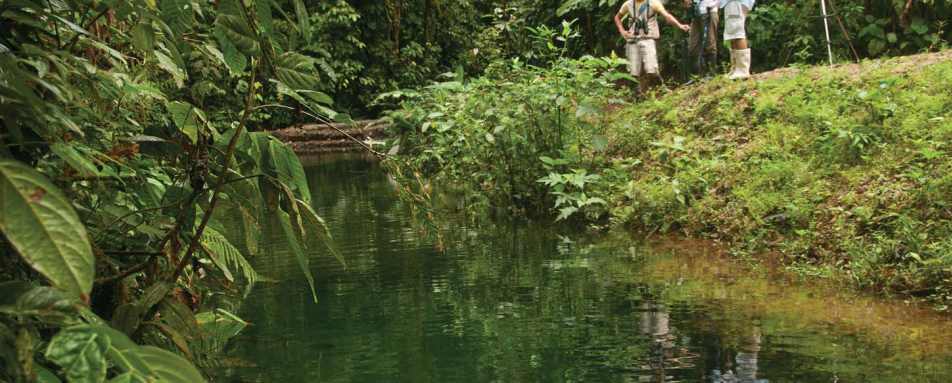 Night walks at Mashpi