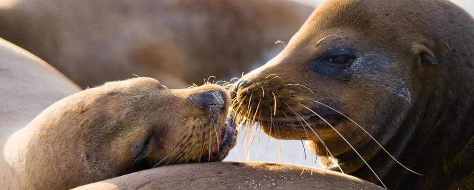 Ecuador and Galapagos with Kids 