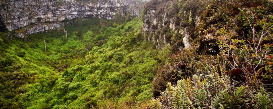 Ecuador and Galapagos with Kids 