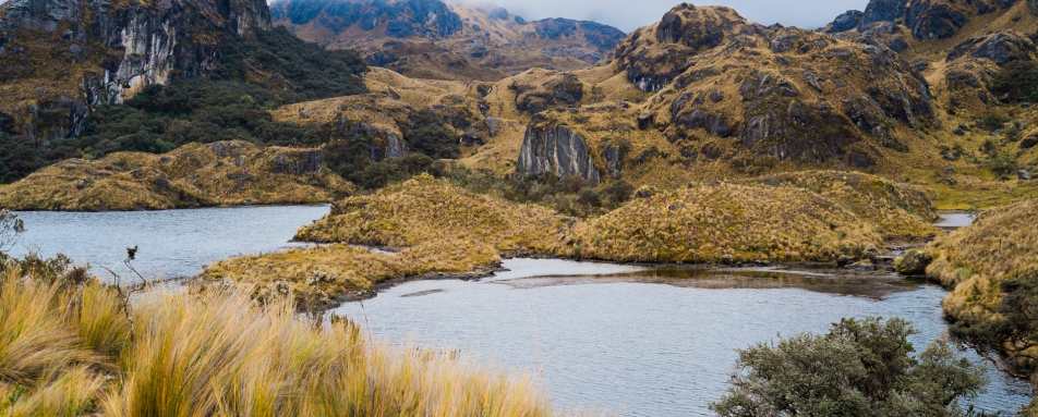 Cajas National Park 