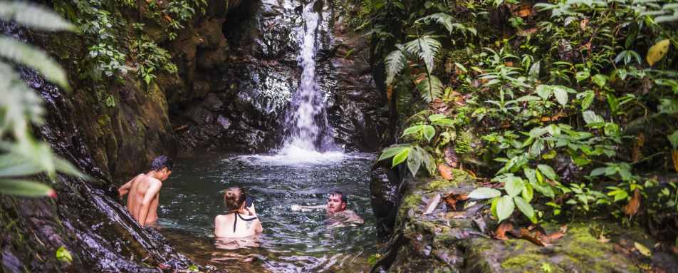 Waterfall at Mashpi - Natural Wonders of Ecuador 