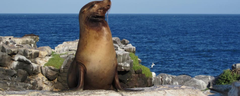 Galapagos Island Hopping