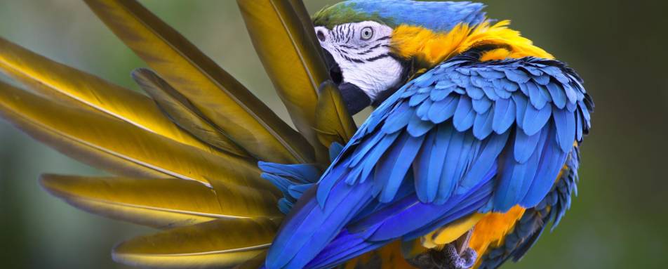 Amazon - Family Ecuador & Galapagos Islands Adventure