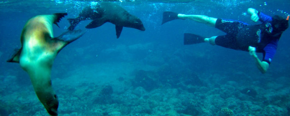 Galapagos snorkelling - Family Ecuador & Galapagos Islands Adventure