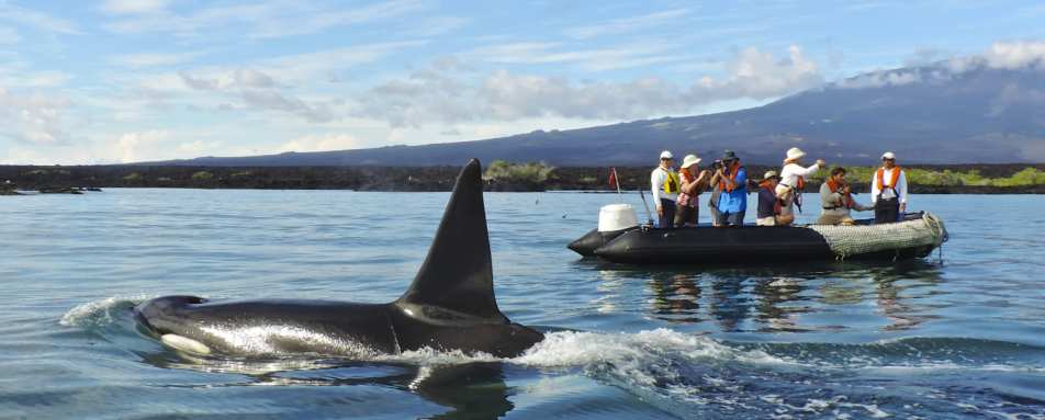 Wildlife spotting - Family Ecuador & Galapagos Islands Adventure
