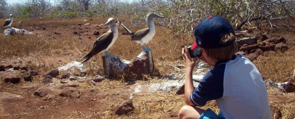 Blue Footed Boobie - Family Ecuador & Galapagos Islands Adventure