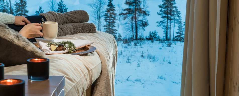 View - Arctic Treehouse Hotel