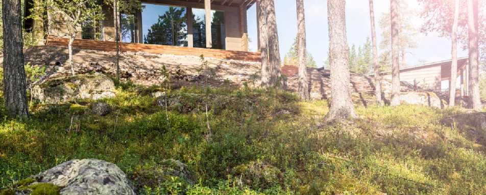 Glass House - Arctic Treehouse Hotel