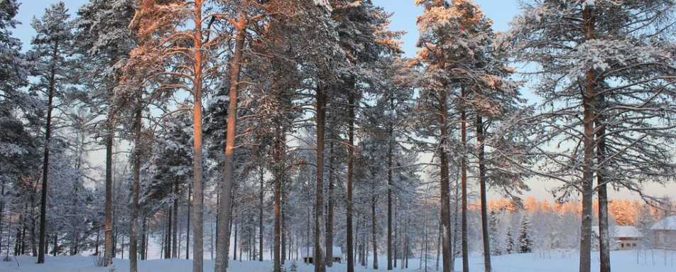 View From Entrance - Beana Laponia