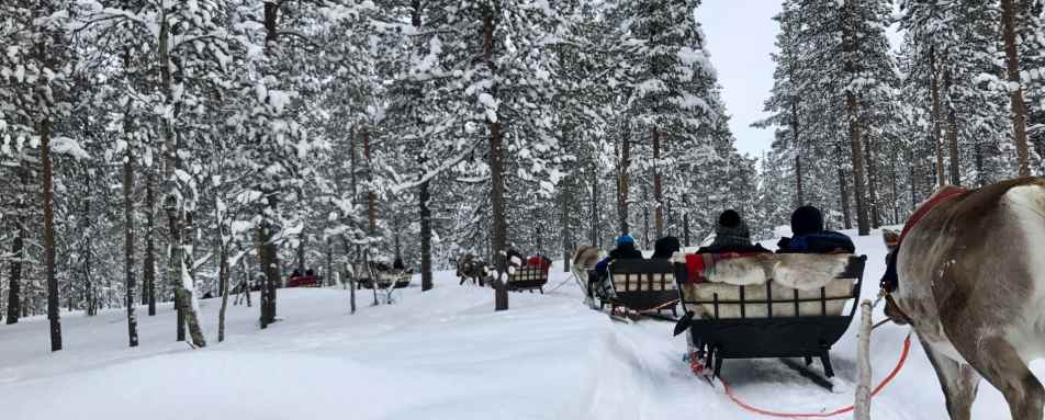 Sleigh ride - Javri Lodge