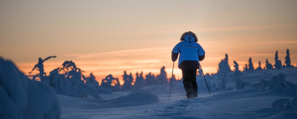 Snowshoeing - Javri Lodge