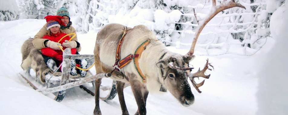 Reindeer Sleigh - Rovaniemi Christmas Chalets