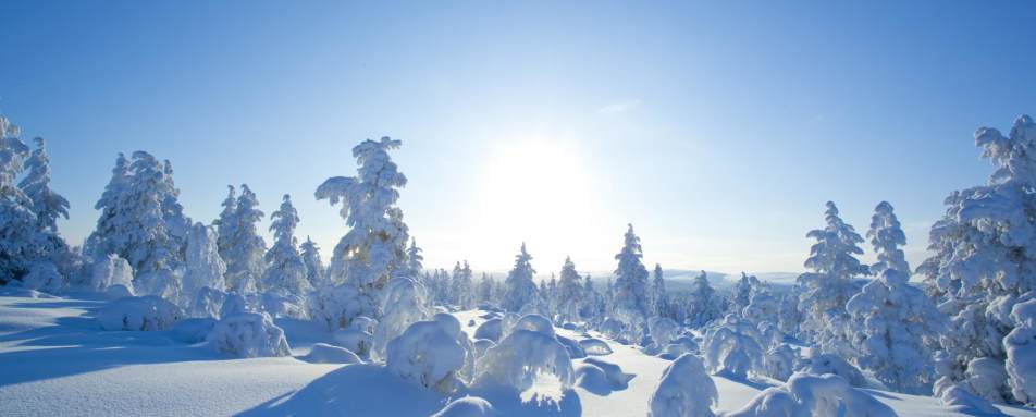 Snowy scenery - A magical trip to visit Father Christmas