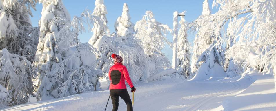 Cross-country skiing - Simply Finnish Lapland