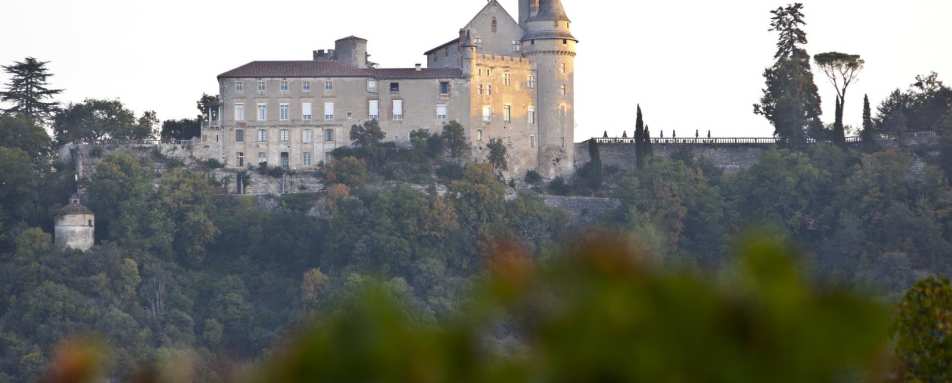 From afar - Chateau de Mercuès