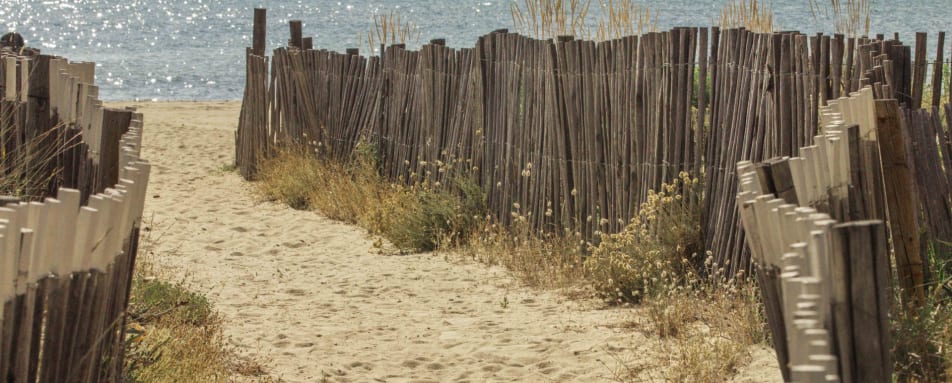 On the way to the beach 