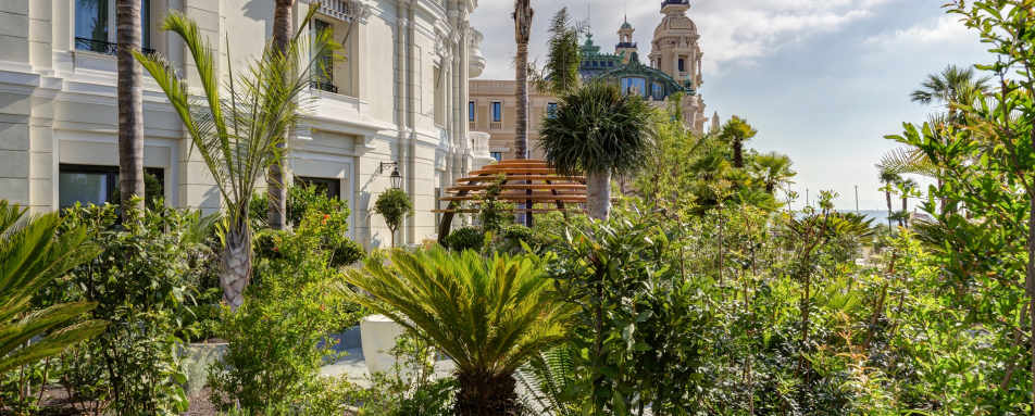 Exterior view - Gardens 