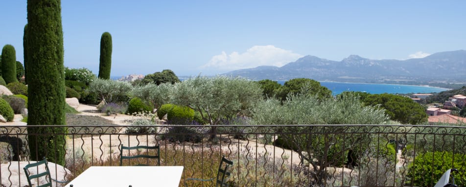 View from the Terrace 