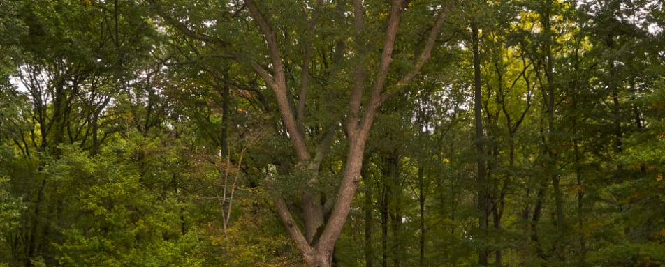 Outside Swimming Pool 