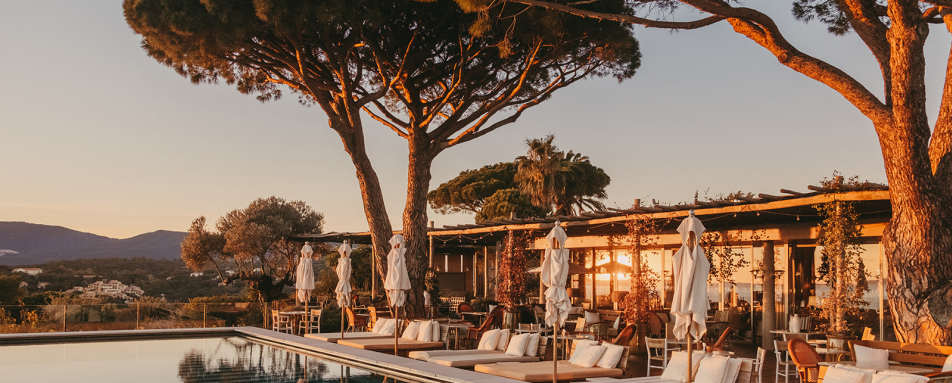 Lily of the ValleyIconic view 