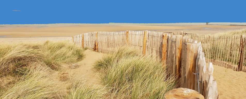 Paris WWII Normandy Luxury Tours Scott Dunn