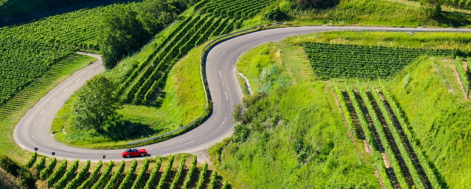 Car Driving in the German vineyard 