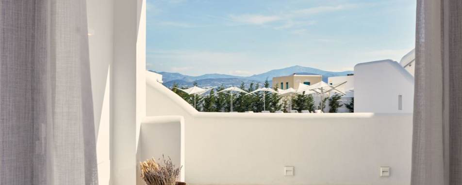 18 Grapes - Comfort Room View 