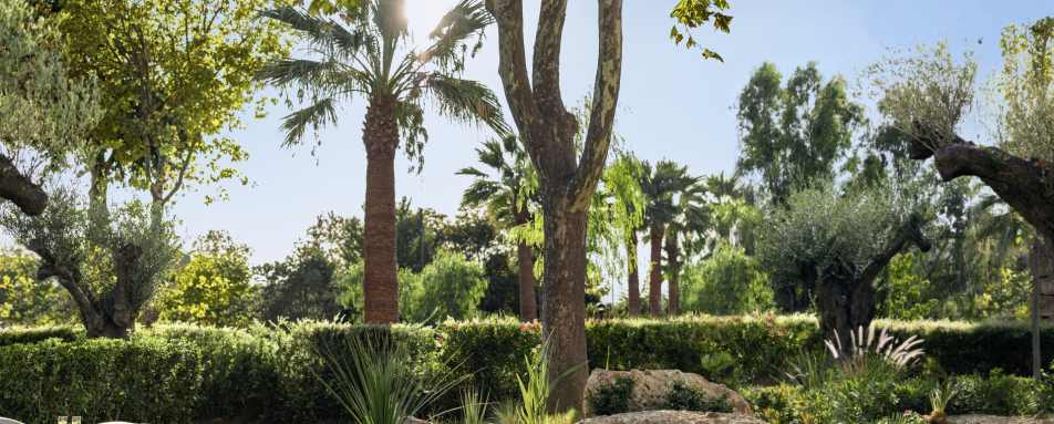 Private Terrace  Garden  