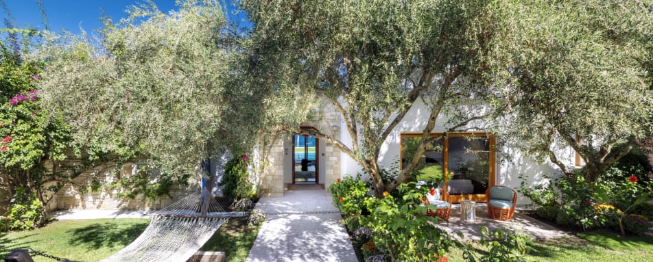  Lush gardens - Porto Zante 