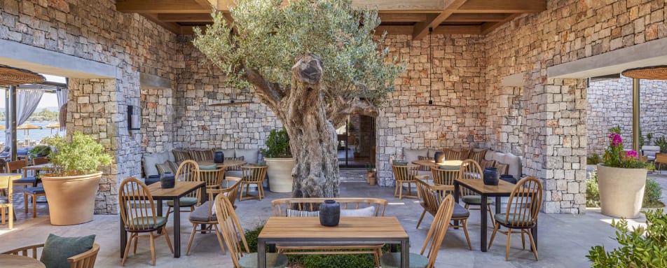 Parelia beach Club - 2 