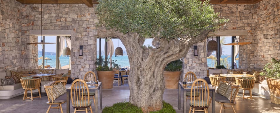 Parelia beach Club - 3 