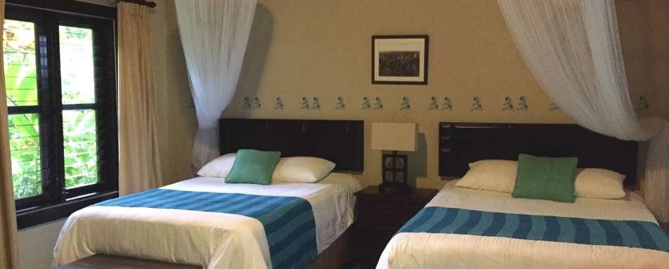 Jungle Lodge Twin Room 