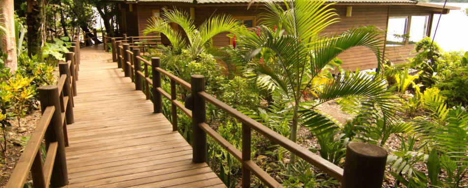 Jungle walkways - Las Lagunas
