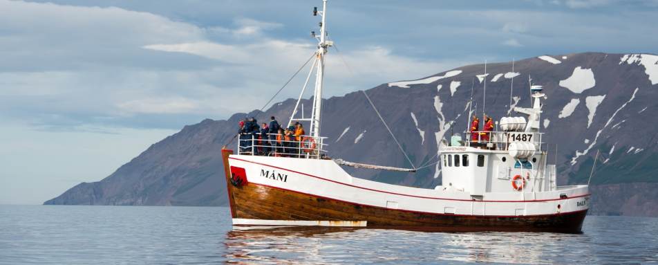 Boat excursion - Deplar Farm